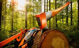 Инструмент для работы в лесу STIHL