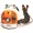 Воздуходувки и садовые пылесосы STIHL